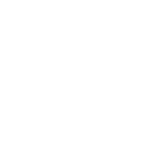 Ecstatic Dance Community