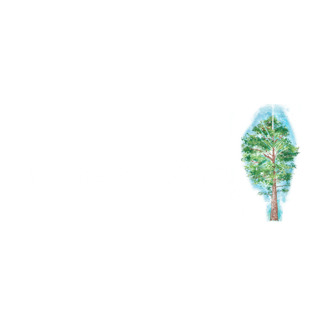 Anastasia Foundation - Ringing Cedars North America