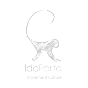 ido portal logo